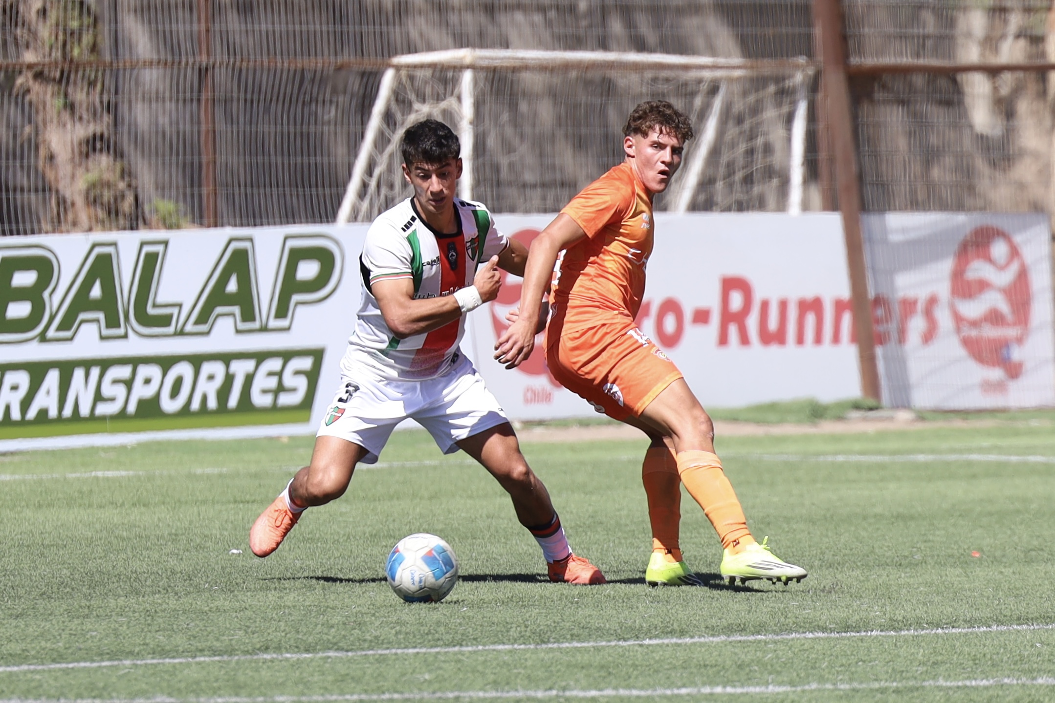 ¡Atención, fanaticada loína! Programación del Fútbol Joven de Cobreloa para este fin de semana